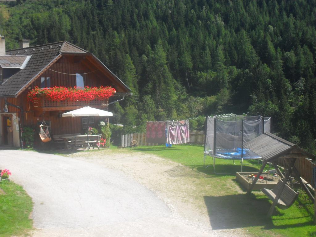 Bio-Bergbauernhof Moeslhof Apartment Aigen im Ennstal Ruang foto