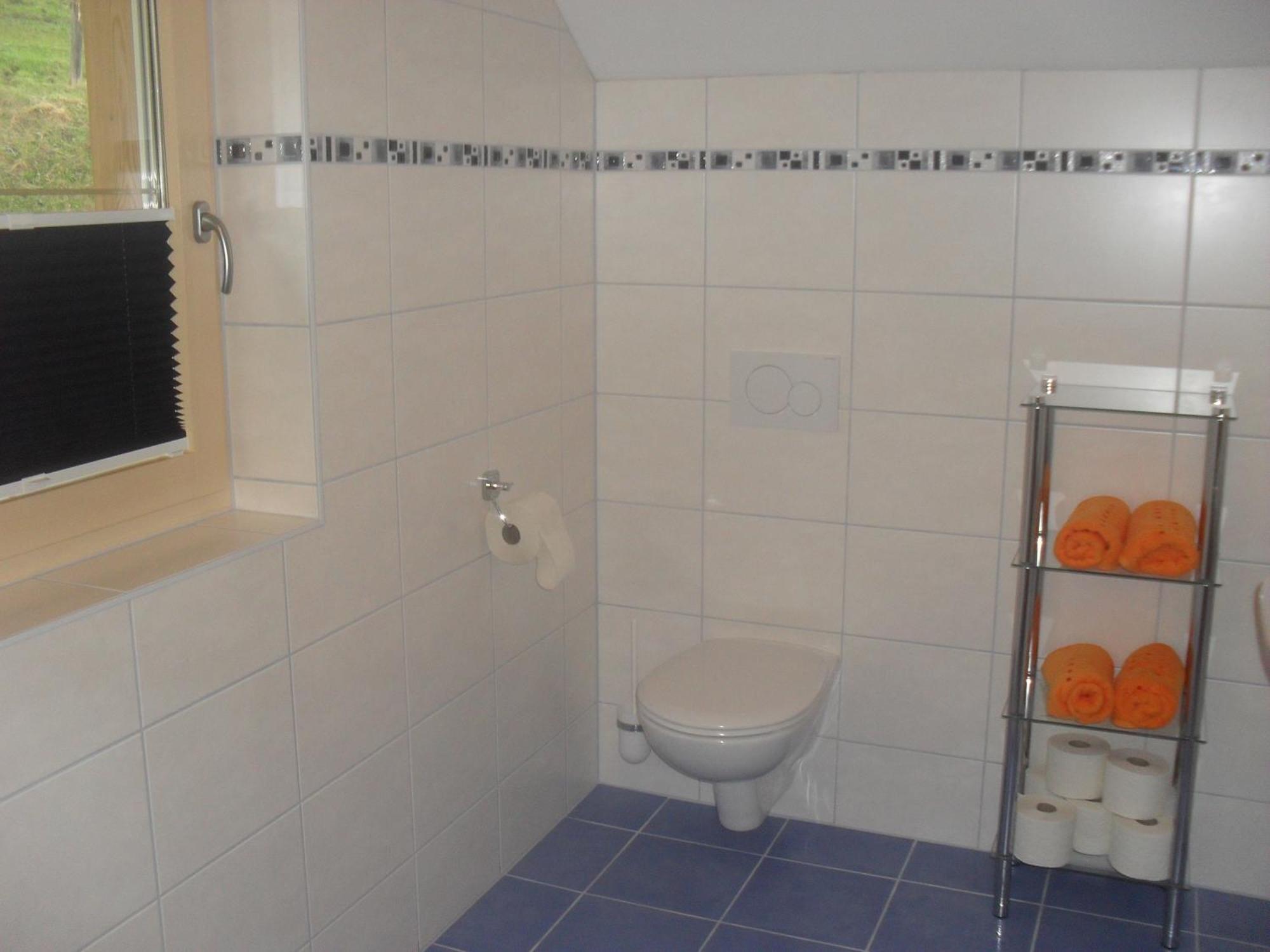 Bio-Bergbauernhof Moeslhof Apartment Aigen im Ennstal Ruang foto