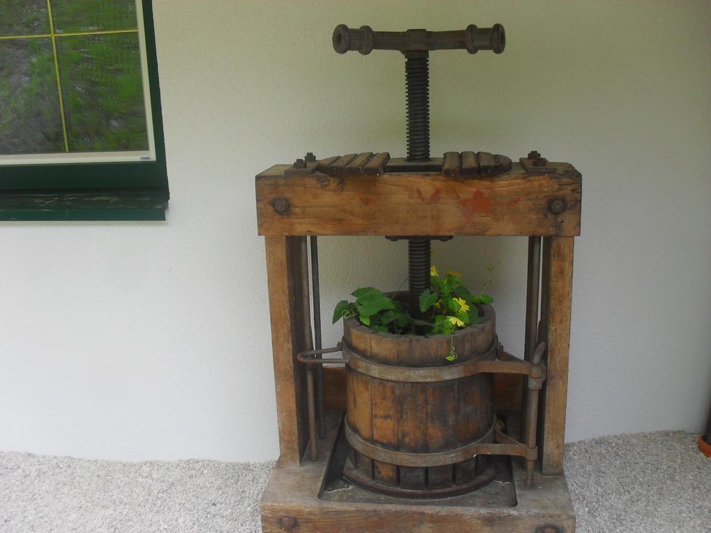 Bio-Bergbauernhof Moeslhof Apartment Aigen im Ennstal Bagian luar foto