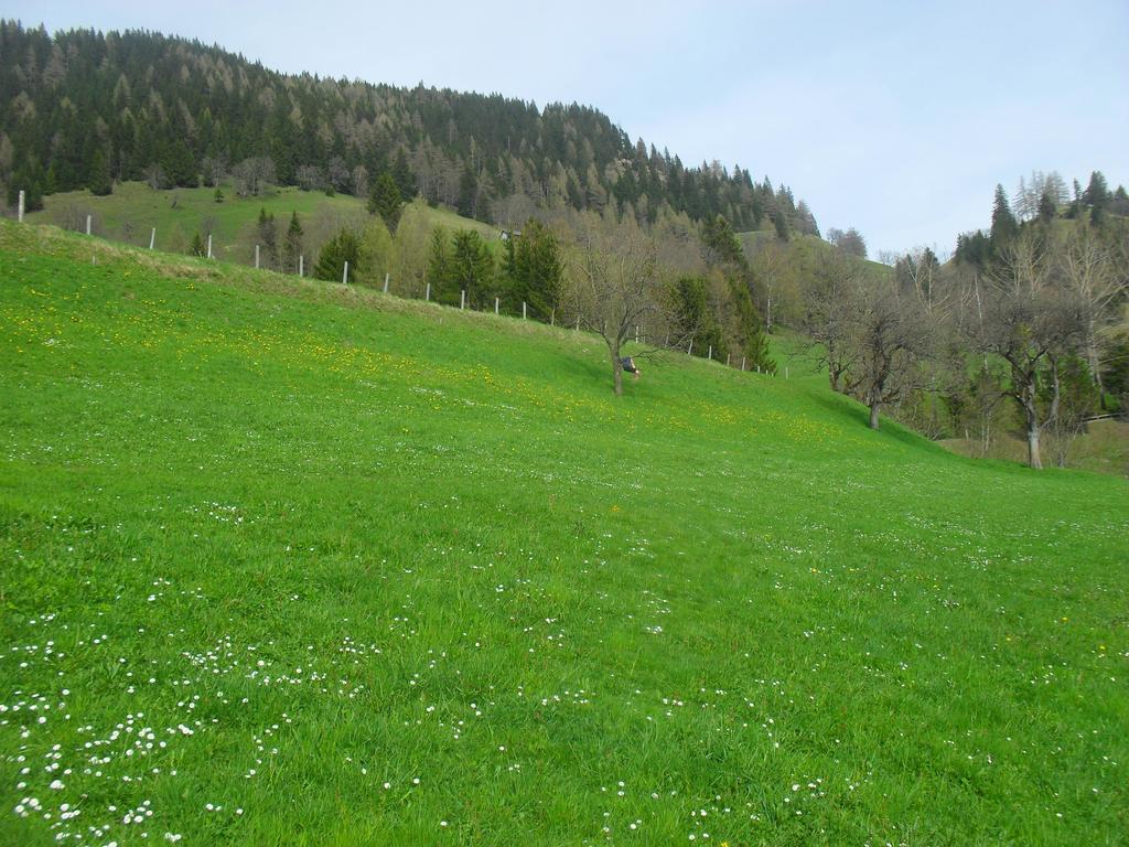 Bio-Bergbauernhof Moeslhof Apartment Aigen im Ennstal Ruang foto