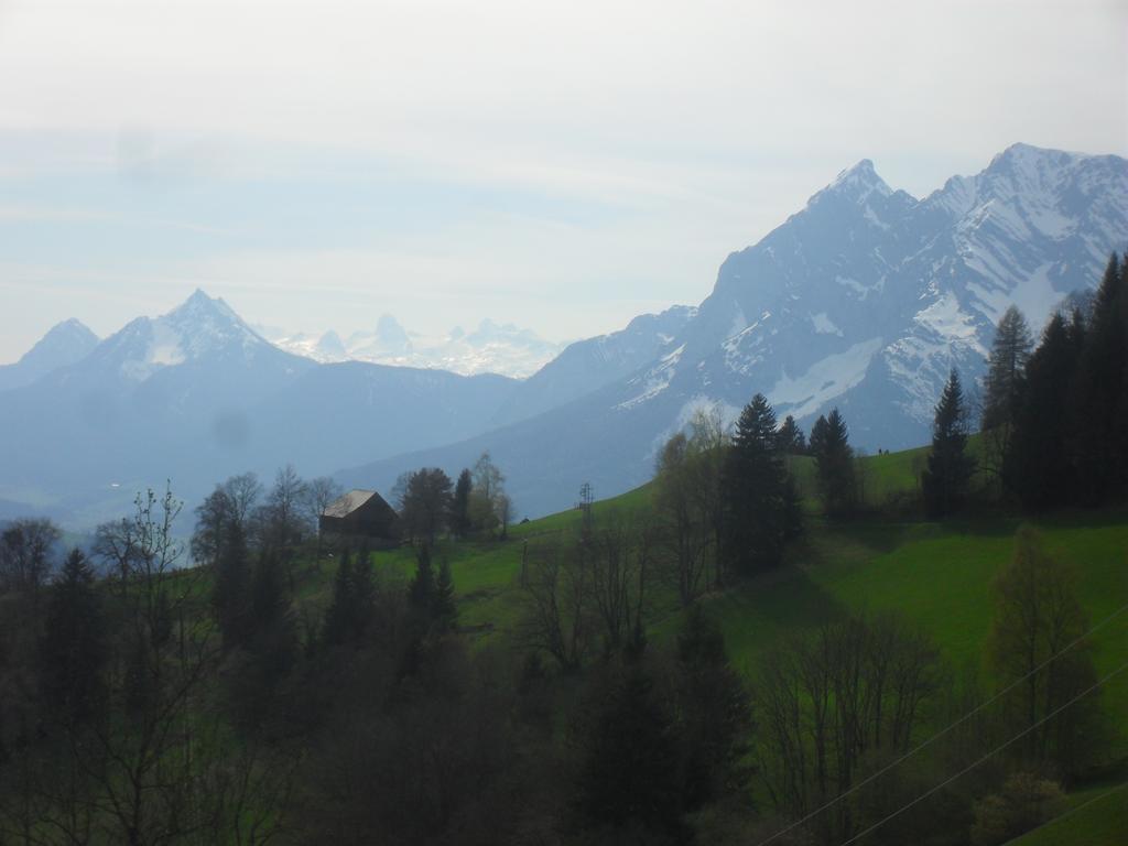 Bio-Bergbauernhof Moeslhof Apartment Aigen im Ennstal Bagian luar foto