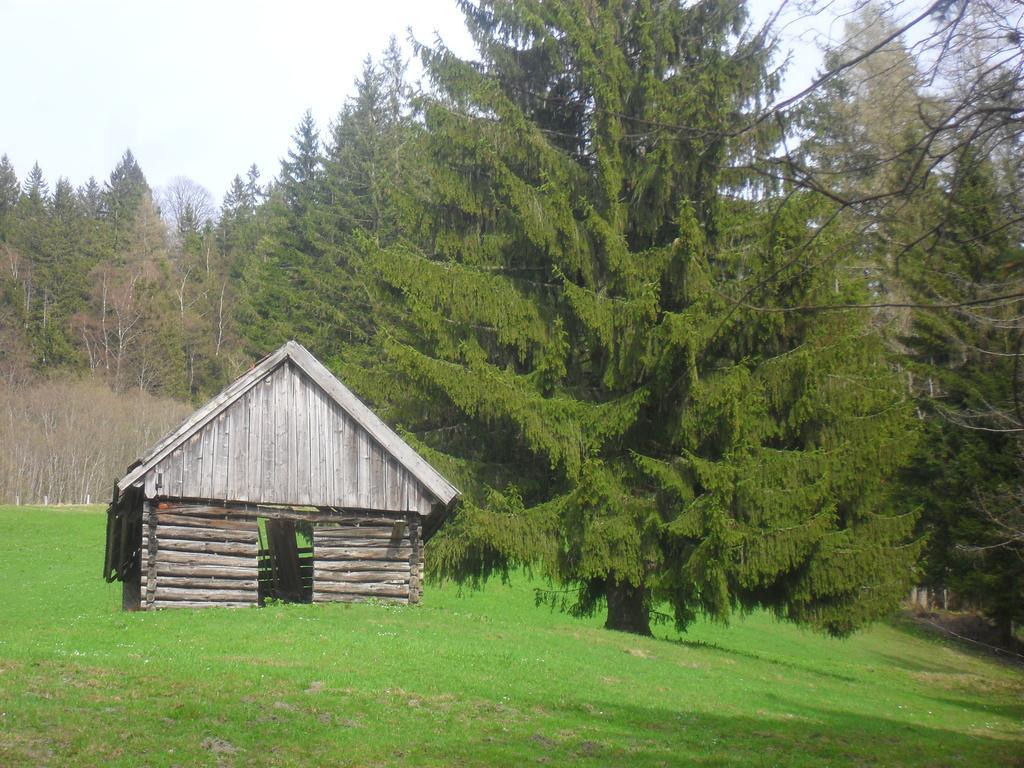 Bio-Bergbauernhof Moeslhof Apartment Aigen im Ennstal Ruang foto