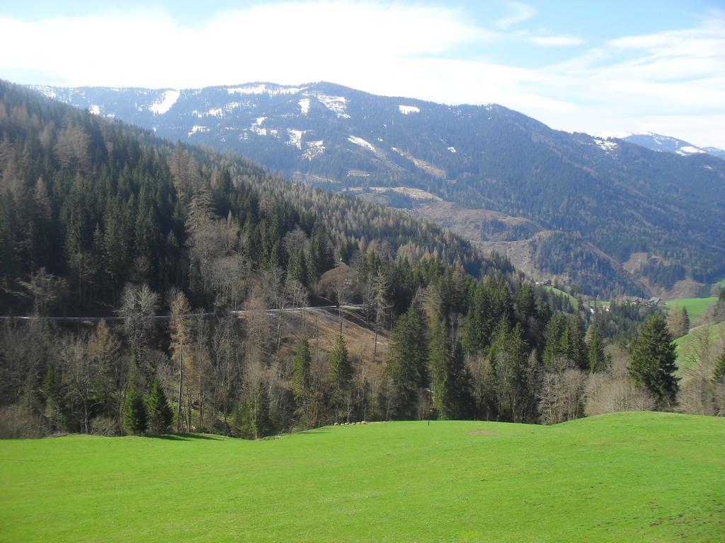 Bio-Bergbauernhof Moeslhof Apartment Aigen im Ennstal Ruang foto