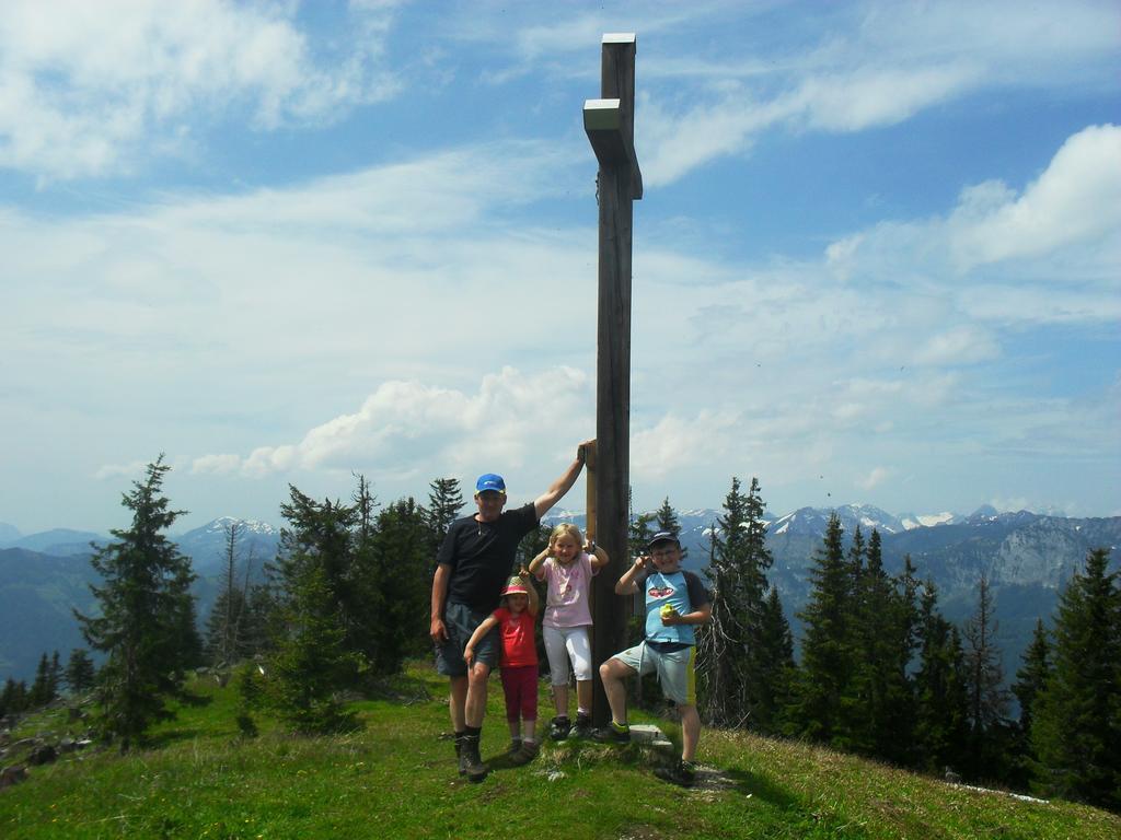 Bio-Bergbauernhof Moeslhof Apartment Aigen im Ennstal Ruang foto