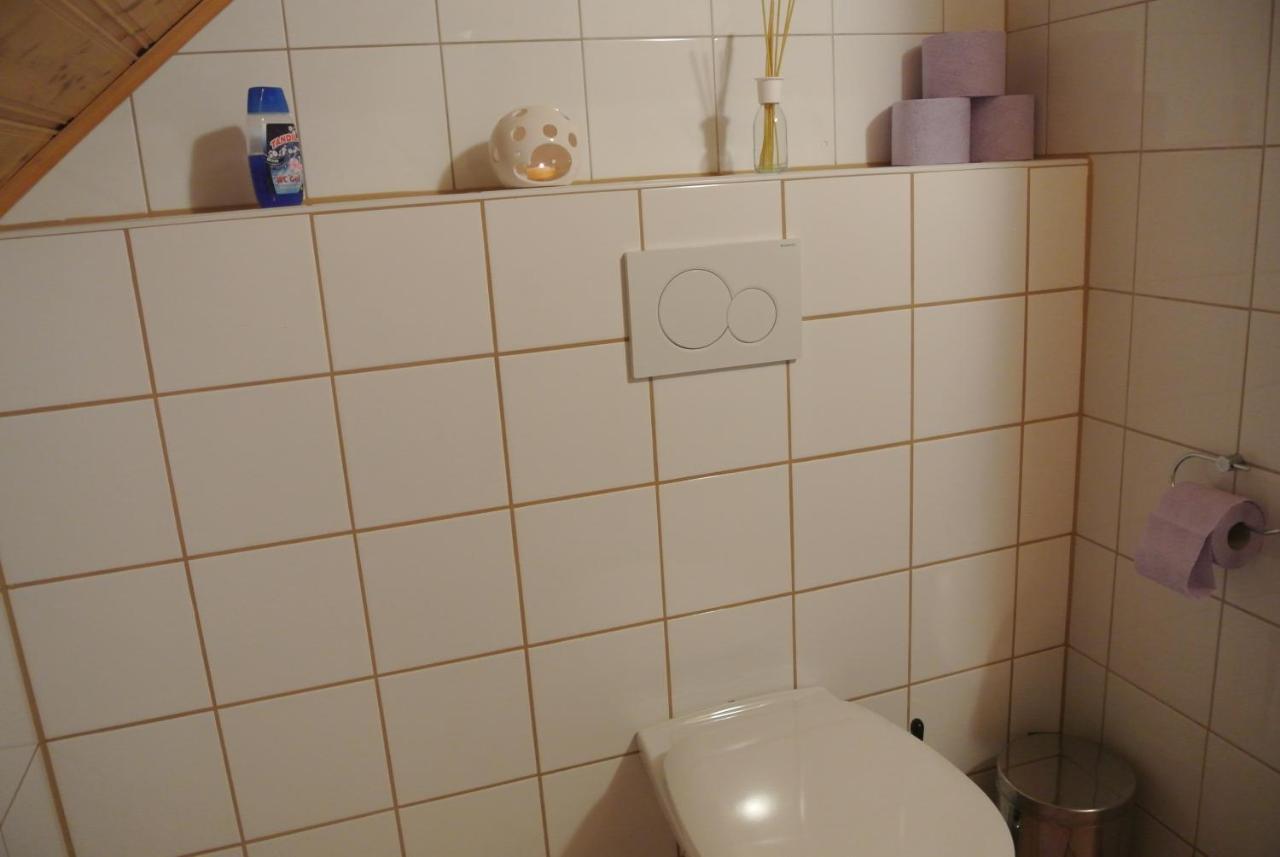 Bio-Bergbauernhof Moeslhof Apartment Aigen im Ennstal Bagian luar foto